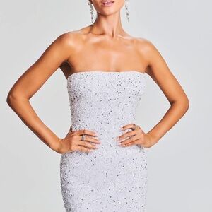 retrofete riverly dress NWT